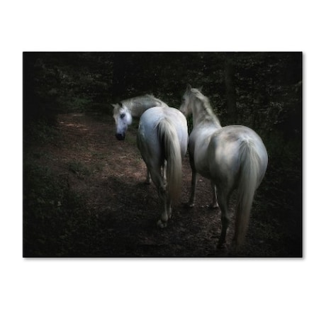 Trademark Fine Art Holger Droste 'Come ' Canvas Art, 14x19 1X02003-C1419GG